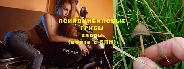 мет Алзамай